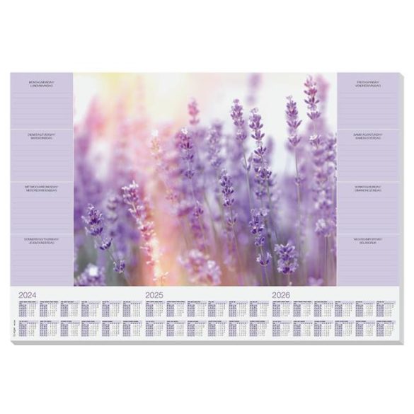 Könyökalátét, 595x410 mm, 3 éves, heti tervezővel, SIGEL "Fragrant Lavender"